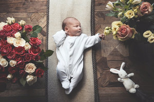Harrogate Family Photography Portfolio