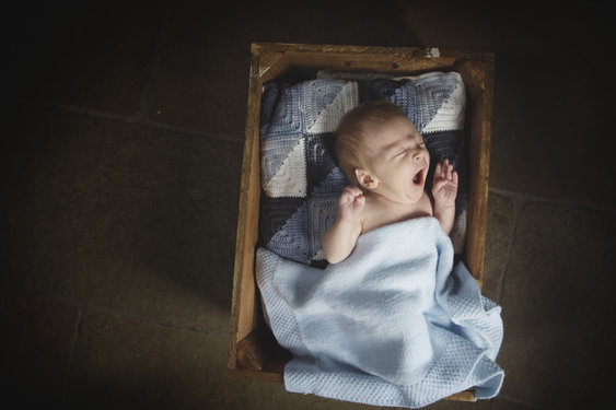 Harrogate Family Photography Portfolio