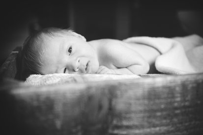 Harrogate Family Photography Portfolio
