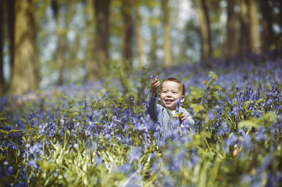 Harrogate Family Photography Portfolio