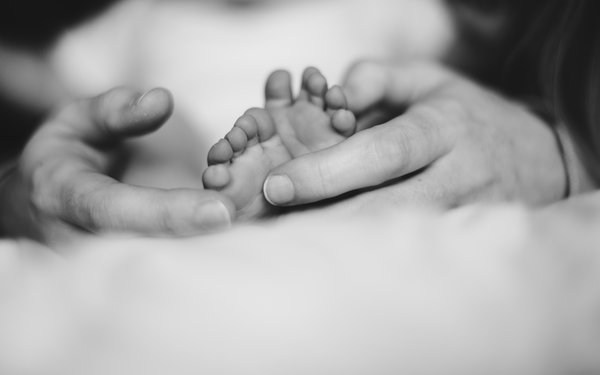 Harrogate Family Photography Portfolio