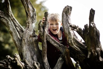 Harrogate Family Photography Portfolio