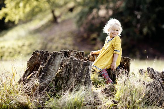 Harrogate Family Photography Portfolio