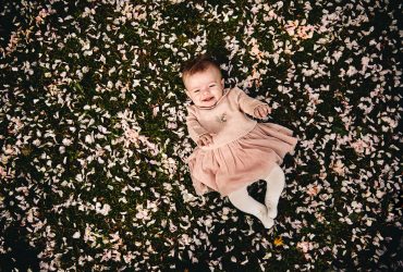 Harrogate Blossom Mini Shoot