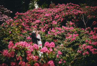 Autumn Wedding York Venues The Hospitium