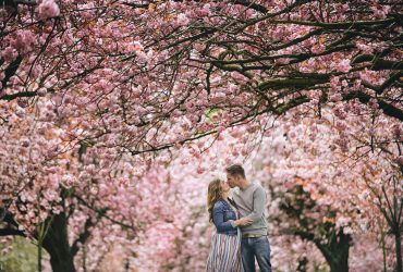 Family Photography in the Cherry Blossom, Harrogate